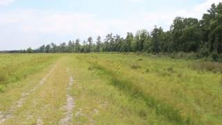 For Sale  604 Acres in Putnam County FL [upl. by Kareem369]