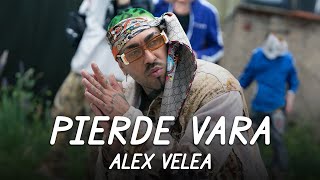 Alex Velea  Pierde Vara  Lyric Video [upl. by Nivlem494]