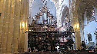 Iglesia de Santa Maria Medina Sidonia Cádiz [upl. by Yerfoeg]