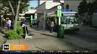 MiamiDade offer free rides on transit buses Metrorail Metromover [upl. by Adnola]