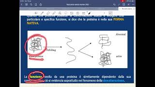 DENATURAZIONE delle PROTEINE [upl. by Adelaja]