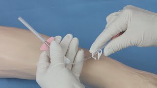 BD Nexiva™ Single Port Closed IV Catheter Insertion Techniques [upl. by Nauaj]