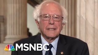 Bernie Sanders Weighs In On Alexandria OcasioCortez’s Victory  Andrea Mitchell  MSNBC [upl. by Lyrem]