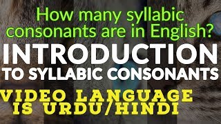 Introduction To English Syllabic Consonants  Number of Syllabic Consonants in English [upl. by Aztiram605]