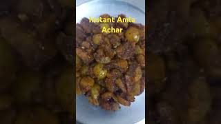 Vitamin C Se bharpur home made instant Amla Ka Achar youtubeshort trend recipe nirmalcooks [upl. by Azrim]