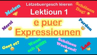 Apprendre le luxembourgeois 1er cours expressions de base  تعلم اللغة اللوكسمبورغية الدرس الأول [upl. by Zap]