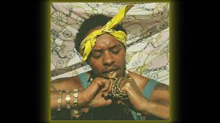 Pink Siifu Fly Anakin Foushee  Cremes Interlude slowed  reverb [upl. by Oballa]