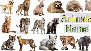 Animals name  Animals name with pictures  Animals vocabulary [upl. by Nilyram359]