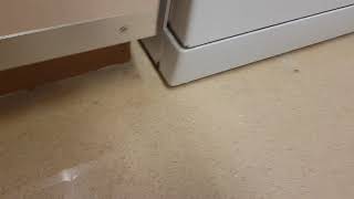 Beko  Dishwasher leaking all around [upl. by Eelanej308]