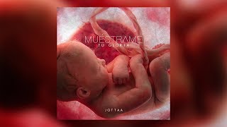 Jotta A  Muéstrame Tu Gloria Lyric Vídeo [upl. by Gilbertina609]