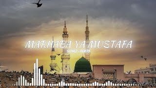 Marhaba Ya Mustafa Slowed  Reverb New Naat Sarif 2024  Milad Raza Qadri  Miladunnabi Naat Sarif [upl. by Hnib]