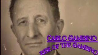 Carlo Gambino The Rise of the Gambino Documentary [upl. by Joela]