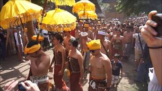 TENGANAN PEGRINGSINGAN FESTIVAL 2018 PANDAN WAR MEKAREKARE IN TENGANAN VILLAGE  BALI [upl. by Taffy]