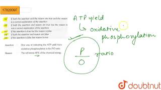 Assertion Both hexokinase and glucokinase require divalent cation Mg or Mn [upl. by Hogg566]