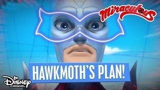 Hawk Moths Master Plan  Miraculous Ladybug  Disney Channel Africa [upl. by Nospmis]