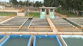 SISTEMA DE TRATAMIENTO DE AGUA POTABLE [upl. by Sirtaeb]