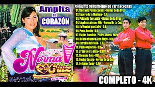 Norma De La Cruz 992 834 384 Ampinita de Corazón Sentimiento Parinacochas con Arpa y Violin  2024 [upl. by Stanzel]