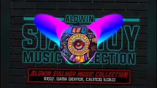 NONSTOP SNAPP DISCO MIX VOL4  ALDWIN SIALMOY MUSIC COLLECTION [upl. by Krasner672]