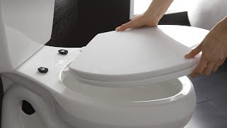 KOHLER K46360 Cachet Quiet Close Toilet Seat White Elongated [upl. by Namrej]