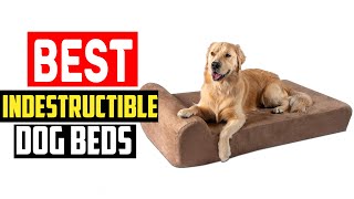 ✅Top 5 Best Indestructible Dog Beds in 2024 [upl. by Ody290]