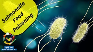 Salmonella Food Poisoning [upl. by Combs612]