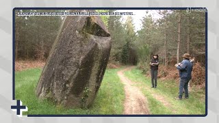 Le  de linfo  lalignement des menhirs du bois de fourgon recèle encore bien des mystéres [upl. by Senzer]