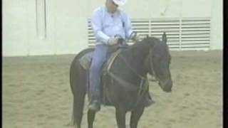 Training Tips Halting amp Backing Your Horse eXtension [upl. by Marozas]