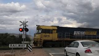 Horrocks Pass Rd Railway Crossing Winninowie [upl. by Shawna]