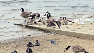 Hollingworth Lake [upl. by Philipps]