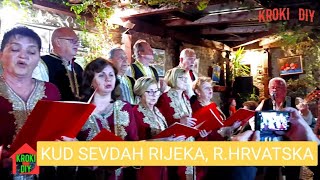 SONE STRANE PLIVEKUD SEVDAH RIJEKA RHRVATSKA 161124 ART KUĆA SEVDAHA SARAJEVO  Kroki DIY [upl. by Yennaiv]