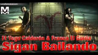 wisin y yandel ft tego calderon amp franco el gorila  sigan bailando [upl. by Nrojb202]