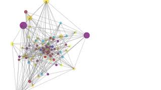 Kibera Community Currency Network Viz [upl. by Assilaj783]