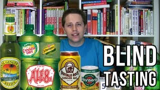 Ginger Ale Blind Tasting Soda Tasting 147 [upl. by Eneirda567]