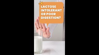 Are you lactose intolerant or have poor digestion lactose dairy shorts poordigestion [upl. by Eisdnyl832]