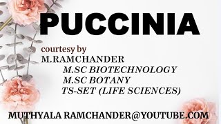 Puccinia Life cycle for english medium [upl. by Tiebout216]