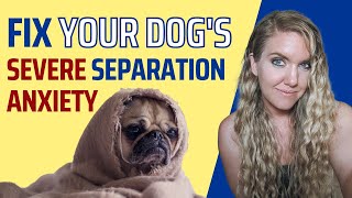 Fix Your Dog’s Separation Anxiety PERMANENTLY [upl. by Dlorrej181]