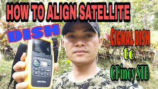 SATLINK WS6933 Setup  For CIGNAL SET TOP BOX [upl. by Mal673]