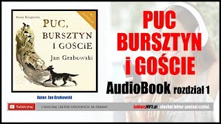 PUC BURSZTYN i GOŚCIE Audiobook MP3 🎧 rozdział 1  posłuchaj i pobierz całość [upl. by Pavla677]