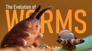 WORMS are WEIRD [upl. by Carothers]