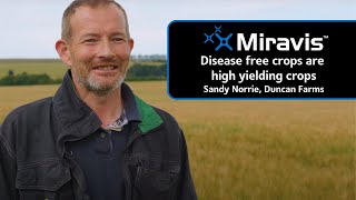 MIRAVIS® Disease free crops are high yielding crops [upl. by Ititrefen]