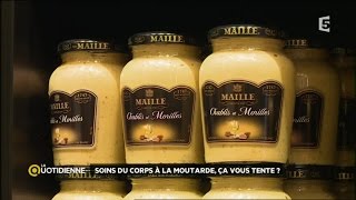 Dossier du Jour  Moutarde  la star des condiments [upl. by Daigle]