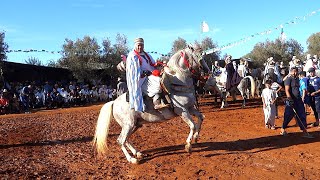 Fantasia Mostaganem 19 فروسية الخيالة مستغانم Chantsetdansestraditionnels  Gasba Cheikh Lahcen [upl. by Eilhsa]