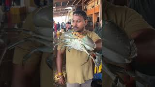 Bigger than my face 2 KG King size Crab food sagarpatil728 seafood reels crab ￼ [upl. by Cirnek711]