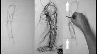 Illustrate the arm as it rotates [upl. by Ennad]