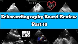 Adult Echocardiography Registry Review [upl. by Shedd]