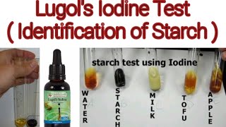 Iodine Test for Starch  Biochemistry Lab Experiment [upl. by Kelula]