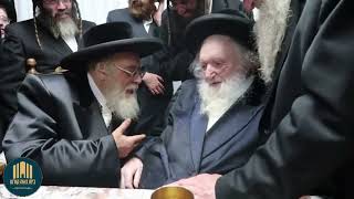 Toldos Aharon Rebbe Visiting R Moshe Sternbuch  Tammyz 5783 [upl. by Katrine706]