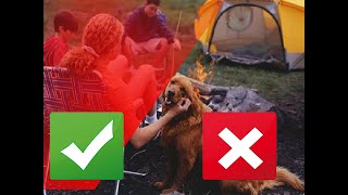 Top 10 Dog Friendly US Campsites [upl. by Normac]