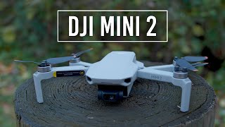 DJI Mini 2 Drone  Handson Review [upl. by Ellerahc]