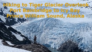 Hike to Tiger Glacier Overlook Prince William Sound Alaska  Flying Fish [upl. by Blood]